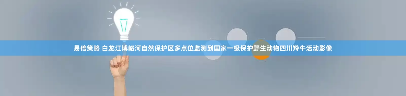 易倍策略 白龙江博峪河自然保护区多点位监测到国家一级保护野生动物四川羚牛活动影像
