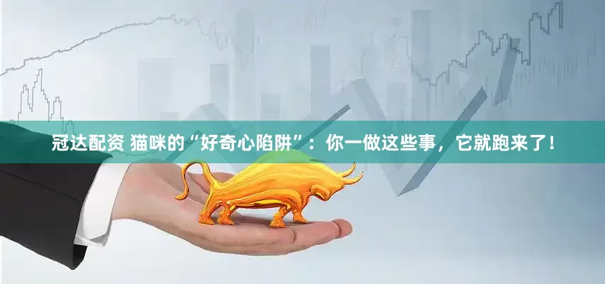 冠达配资 猫咪的“好奇心陷阱”：你一做这些事，它就跑来了！